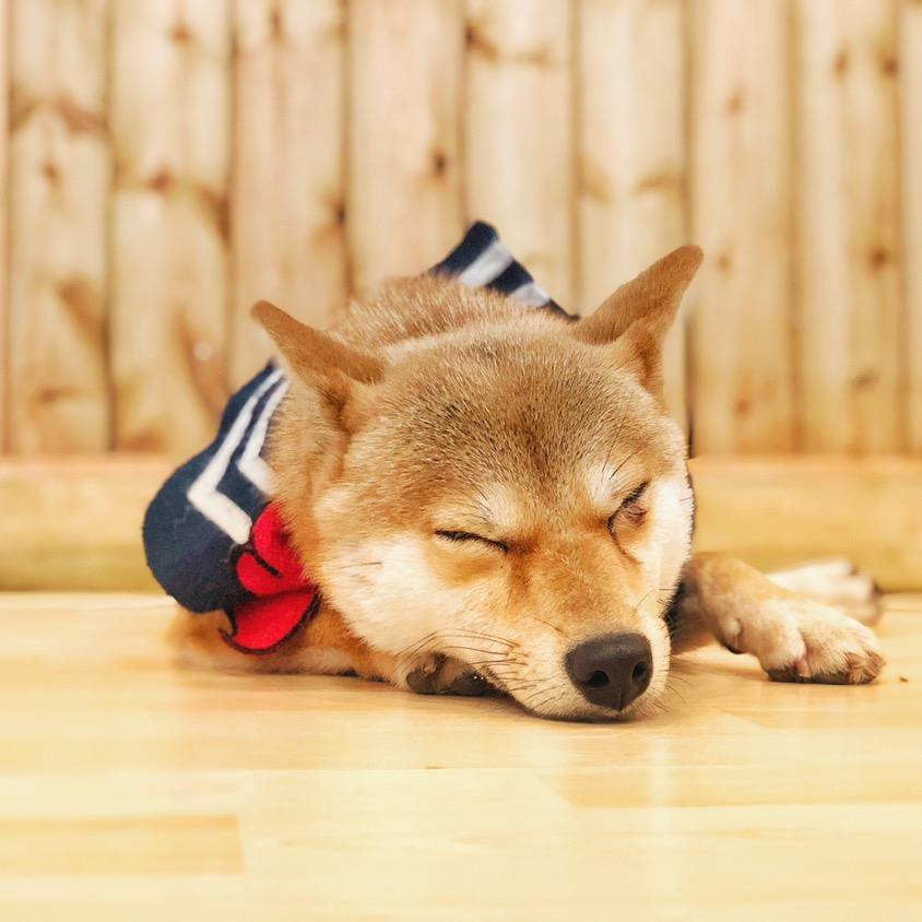 W.G要减脂