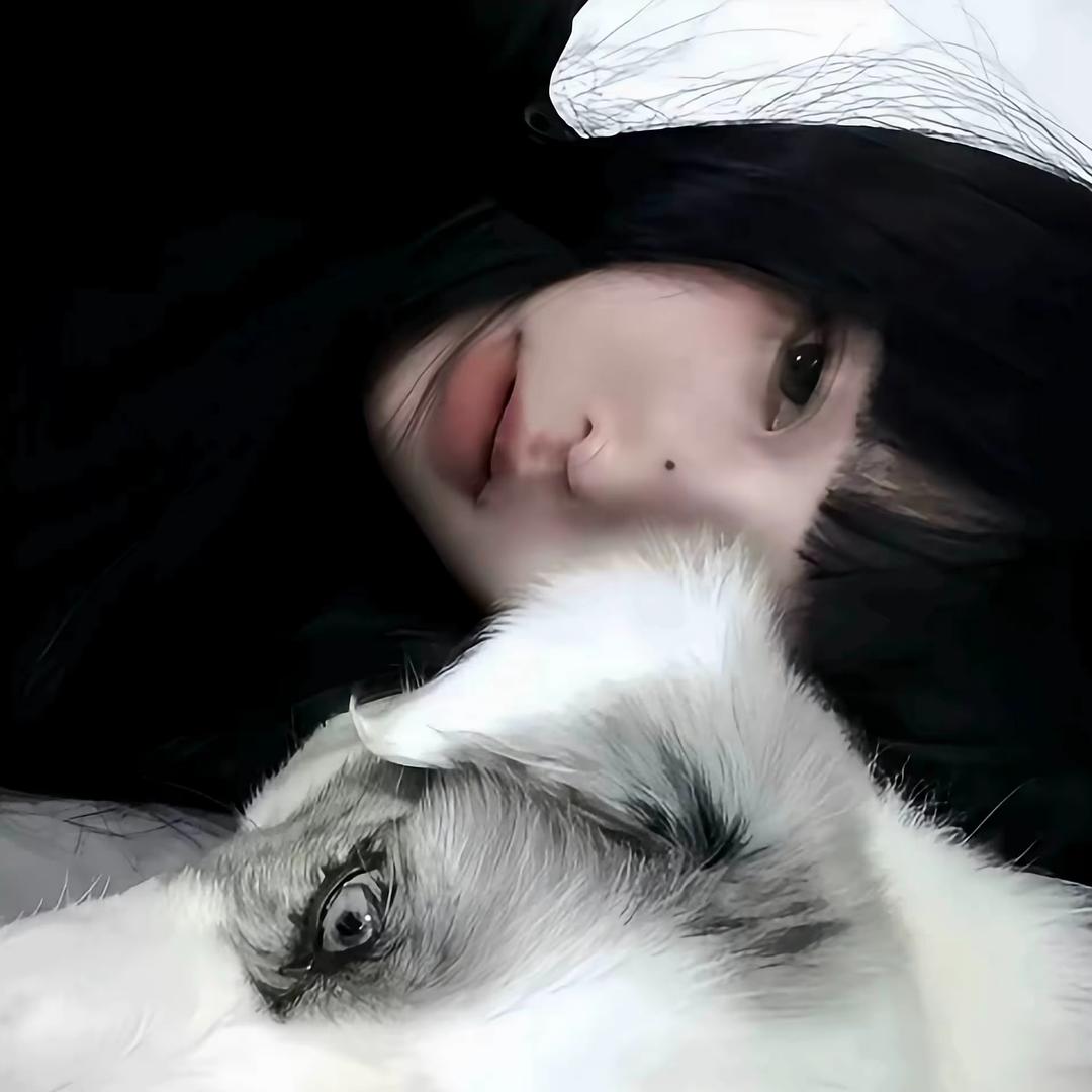 墨的