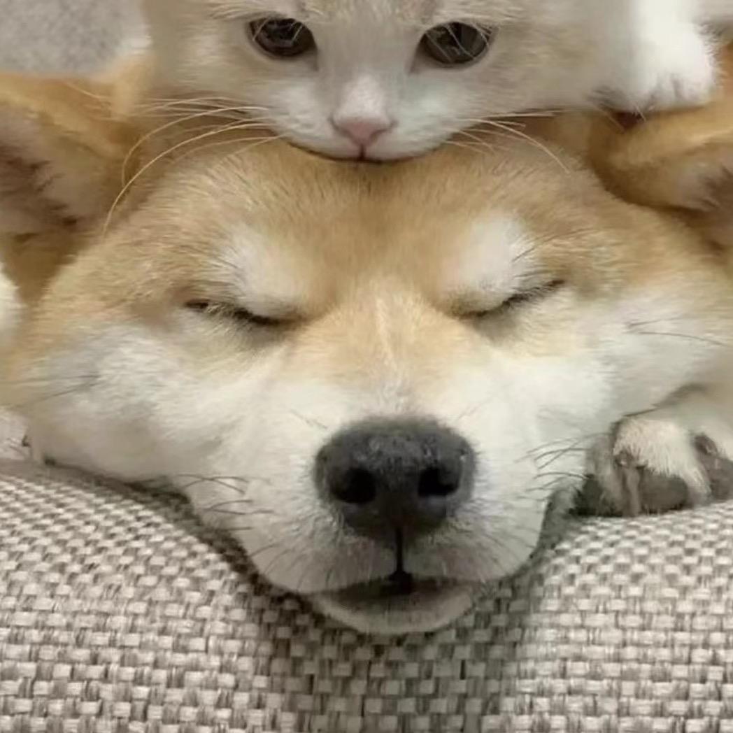 洞洞鞋