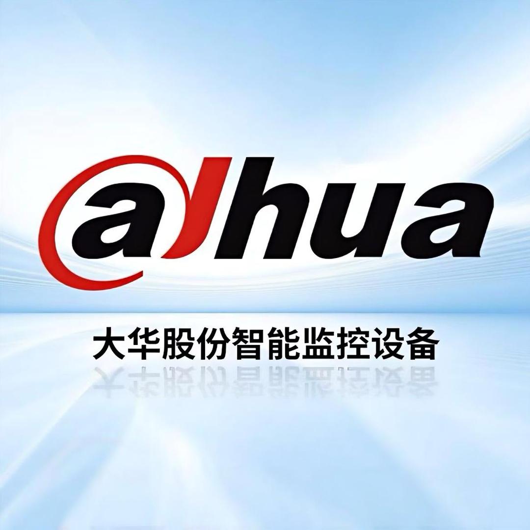 大华股份盛峻安防专卖店