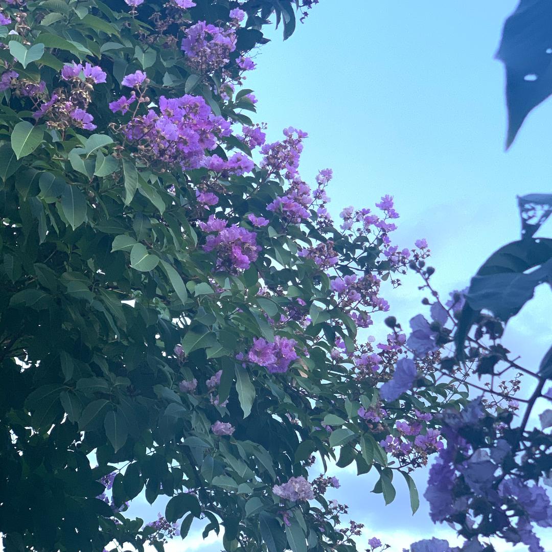 许姐探房日记