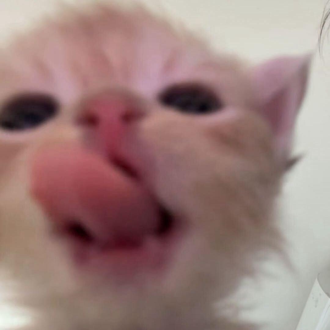 名字太长会有傻子跟着念