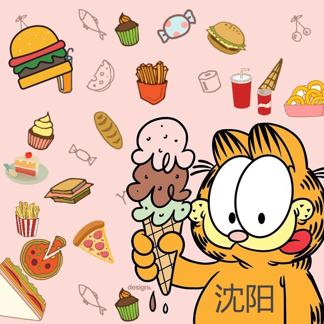 加菲猫逛吃沈阳