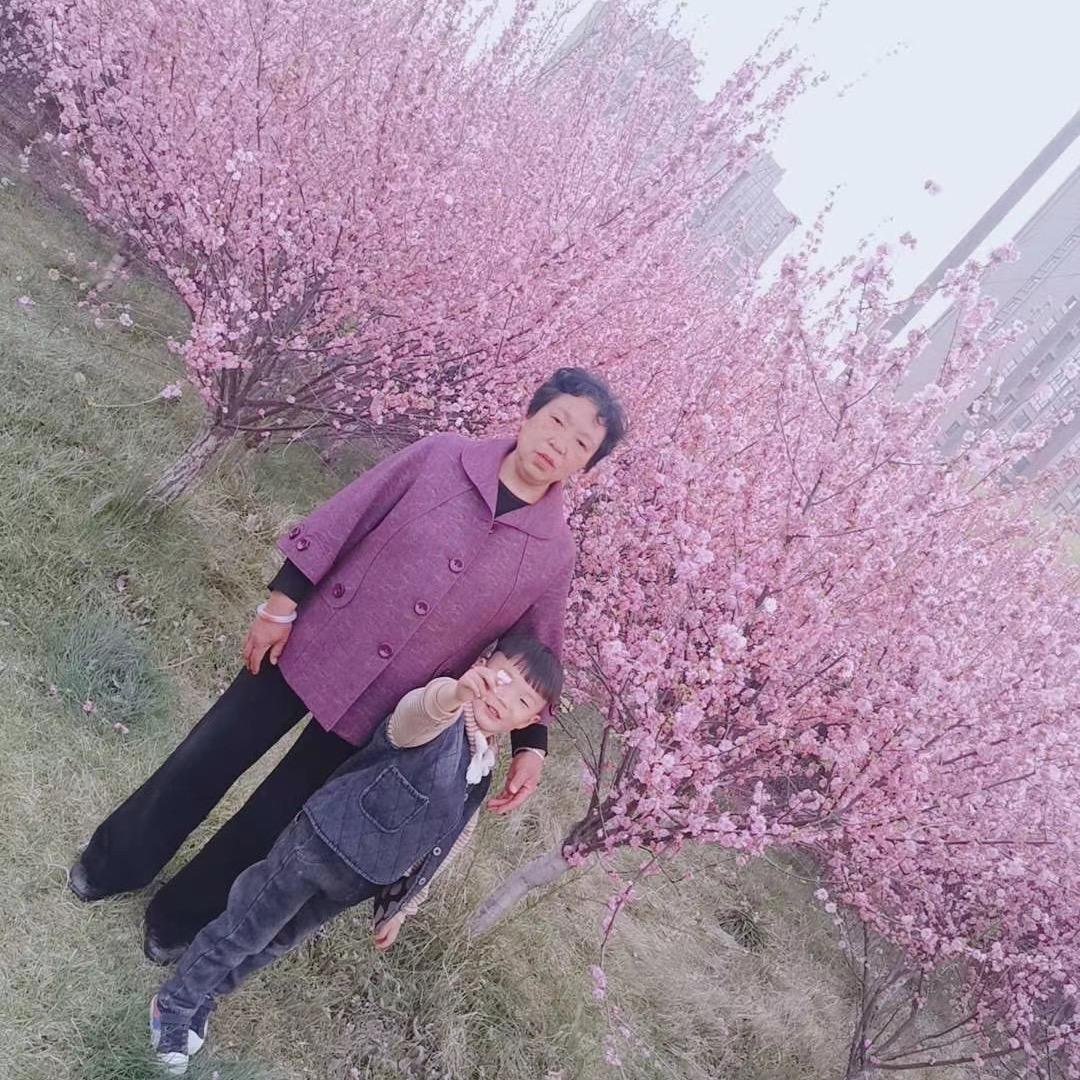 张先生的刘小姐