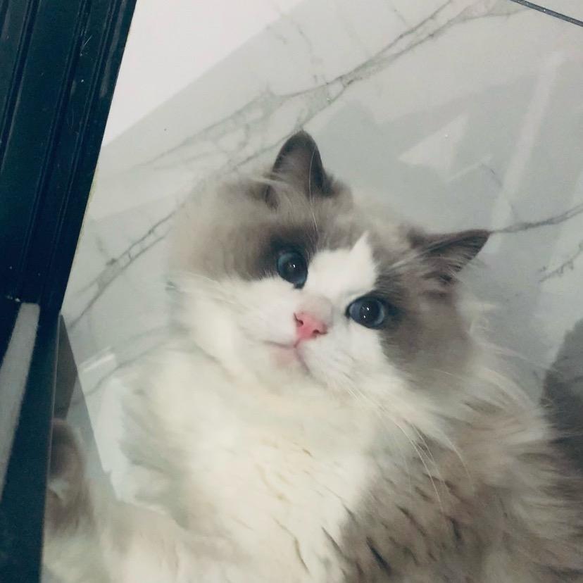 堡爷