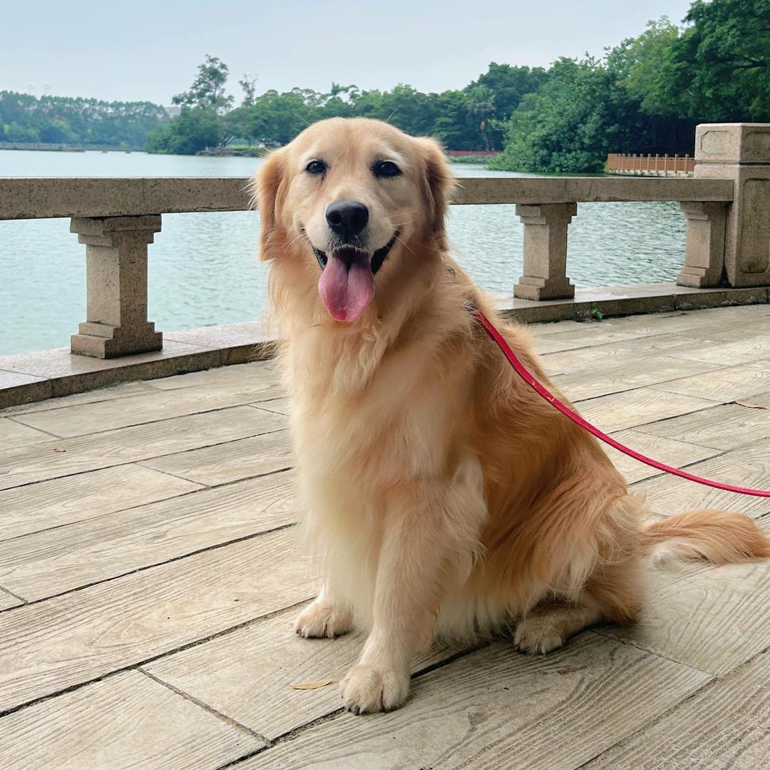 多女士 你是来拉屎的吗