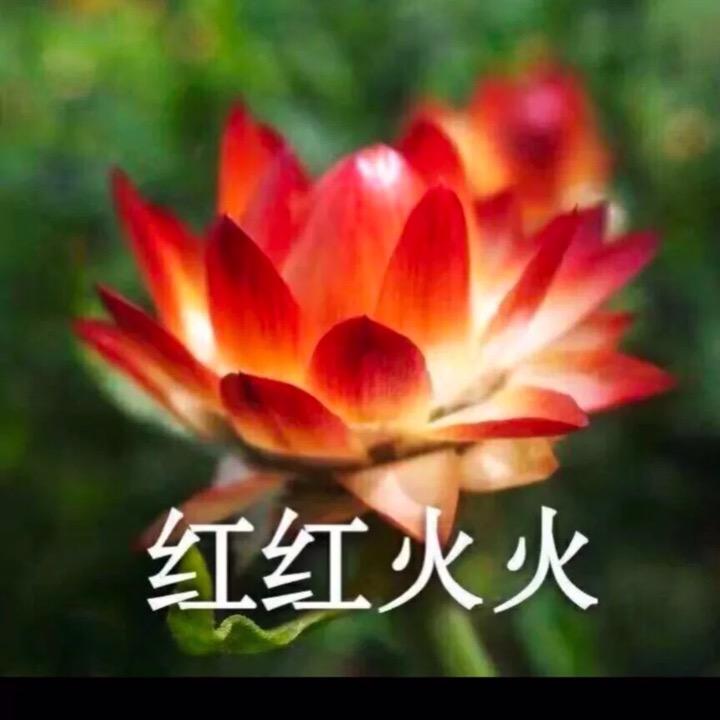 明明