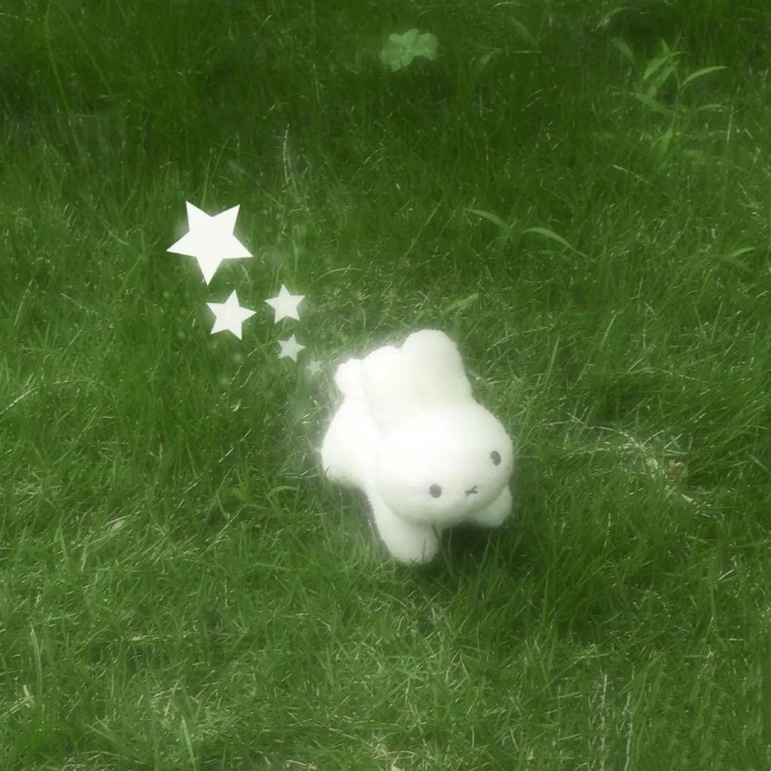 很好☘️