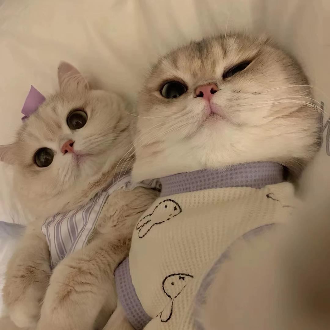 野ཻ野ཻ野ཻ野ཻ™