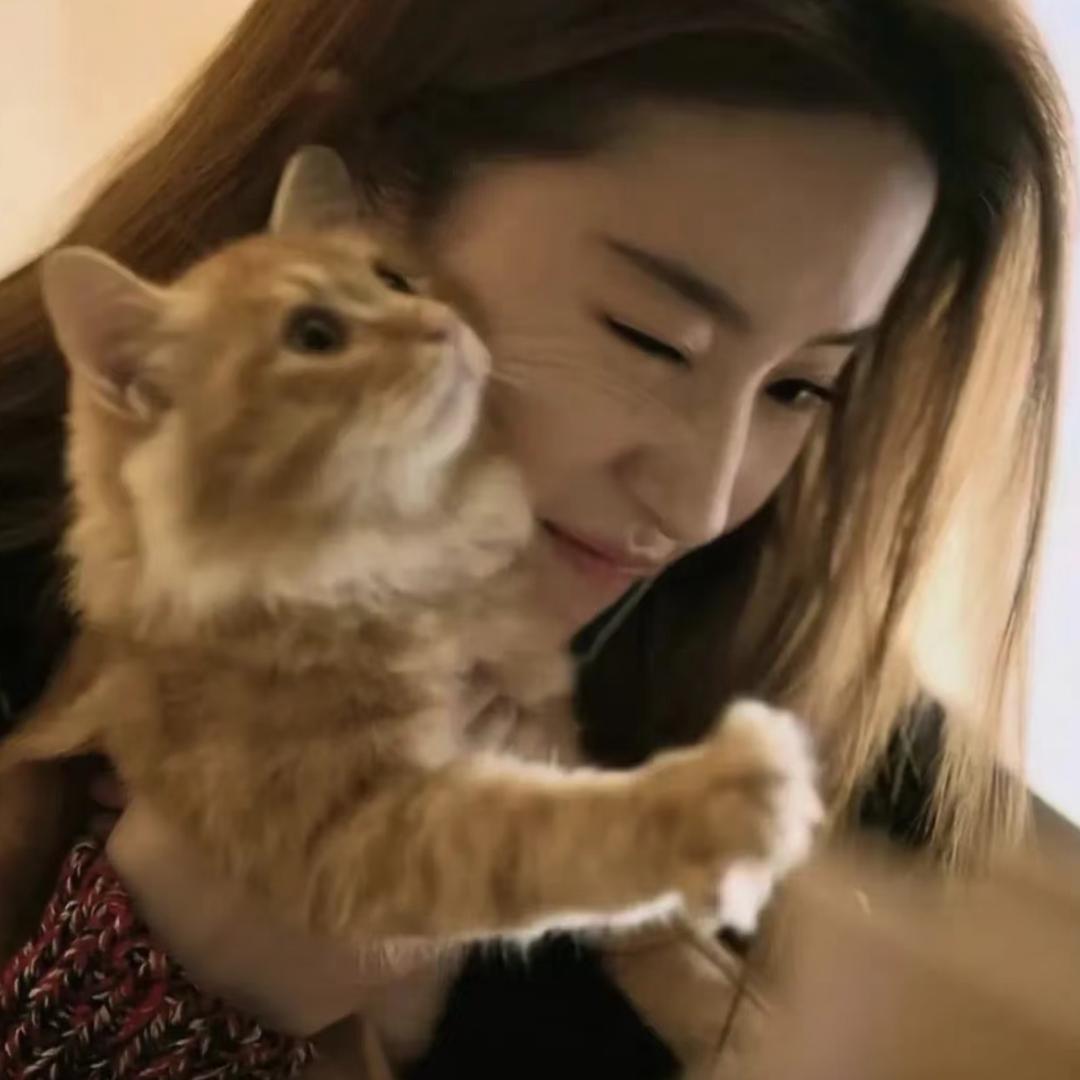 心碎小猫