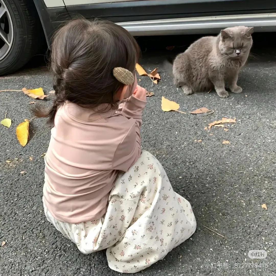 旧城以西ya