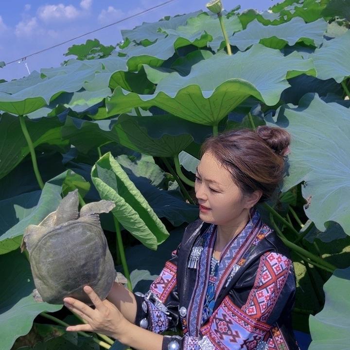 山妹子生态甲鱼基地