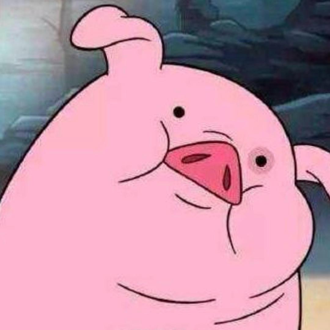非洲大油猪🐷