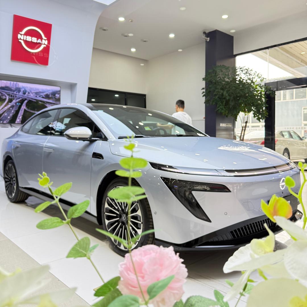 涿州日产新能源