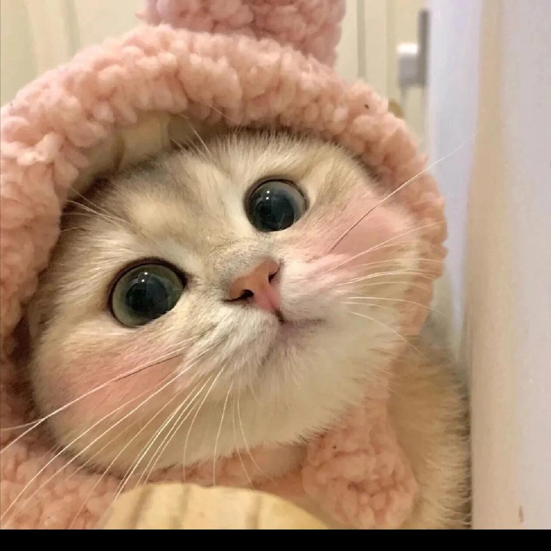 啦啦啦