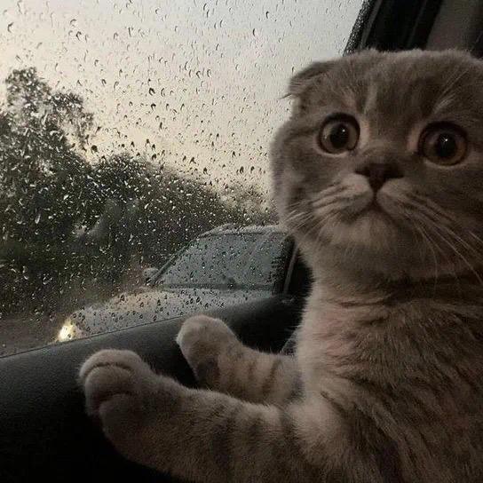 夜车