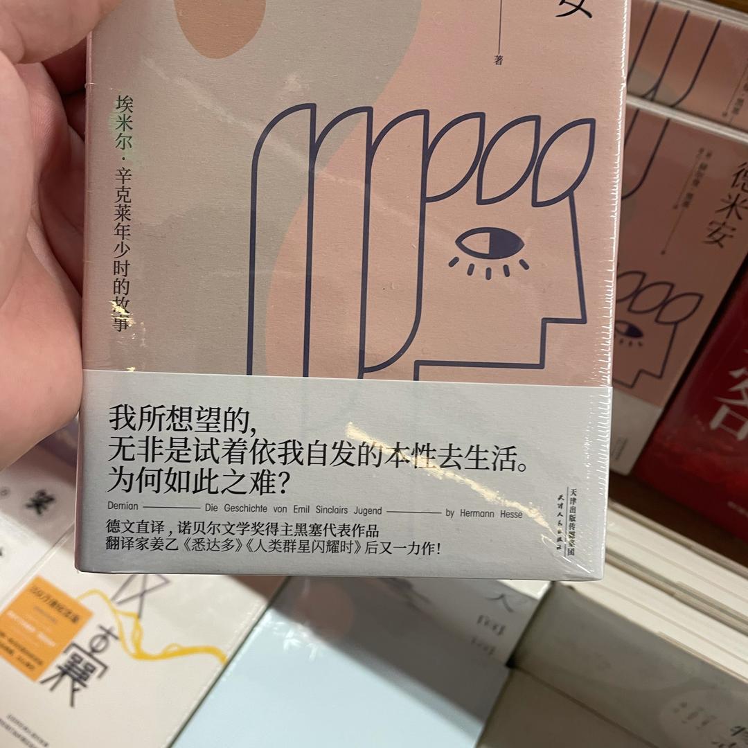 枫之