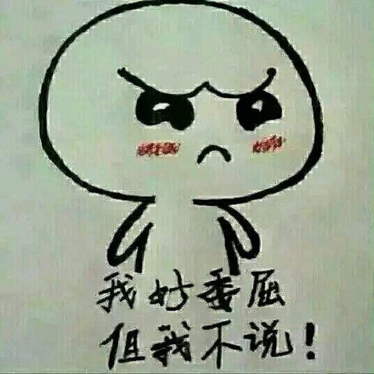 影子Z