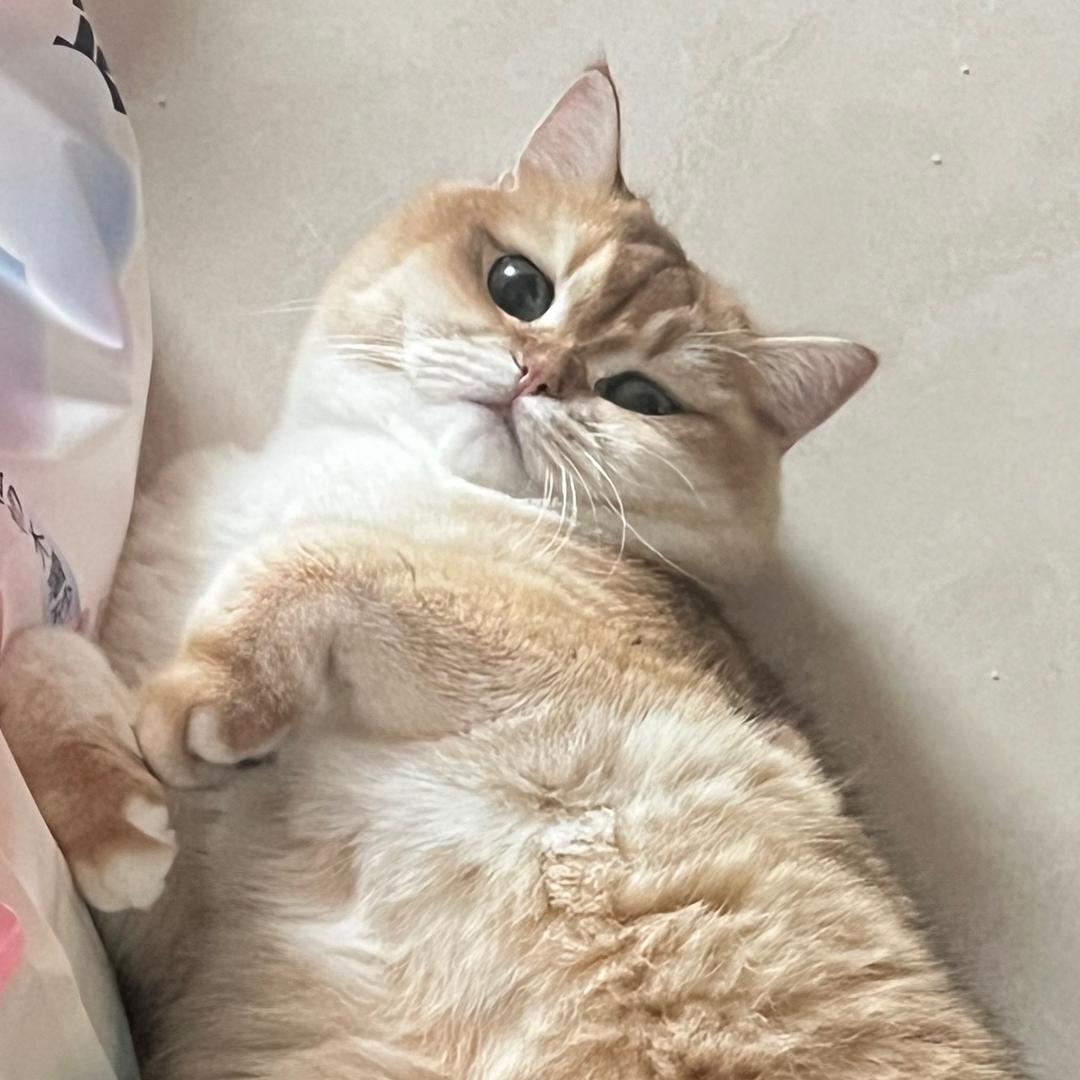 不吃汉堡吃沙拉