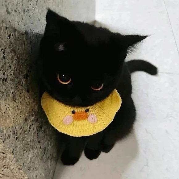 zy