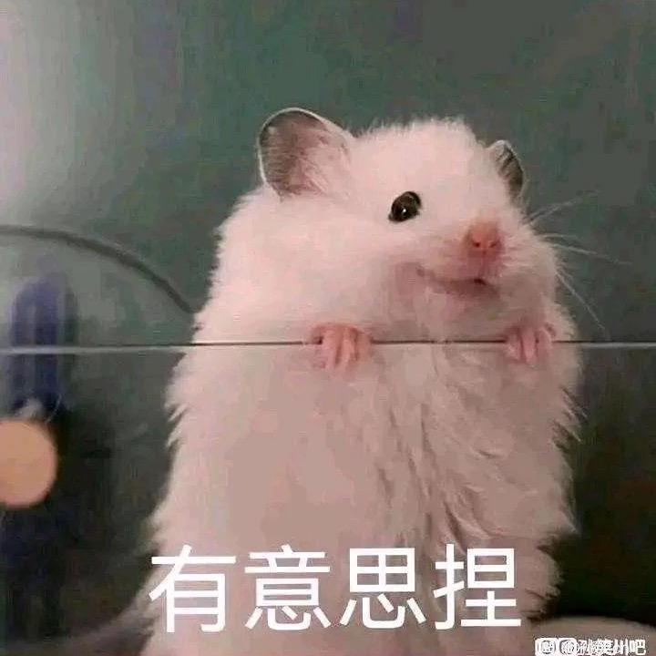 hello，你好