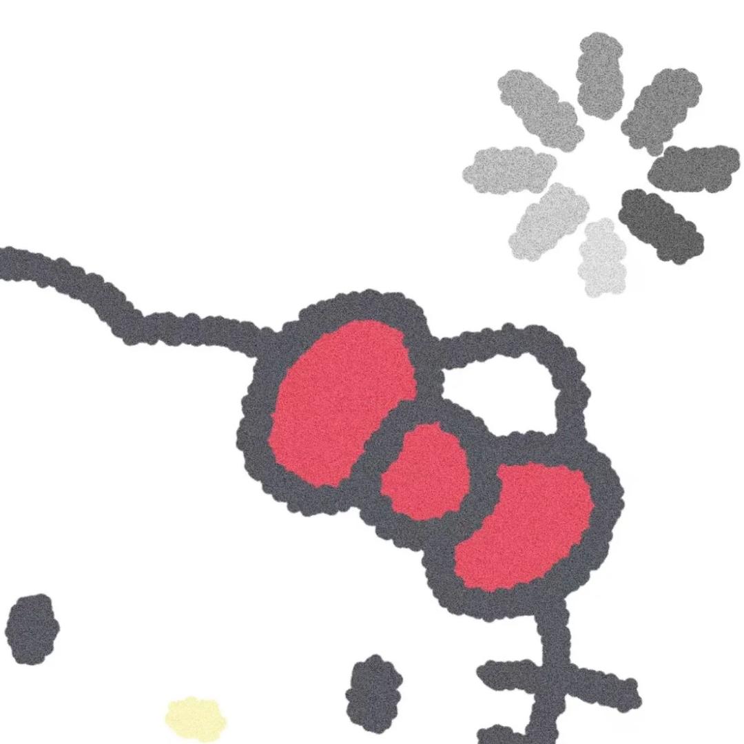 蓝胖子