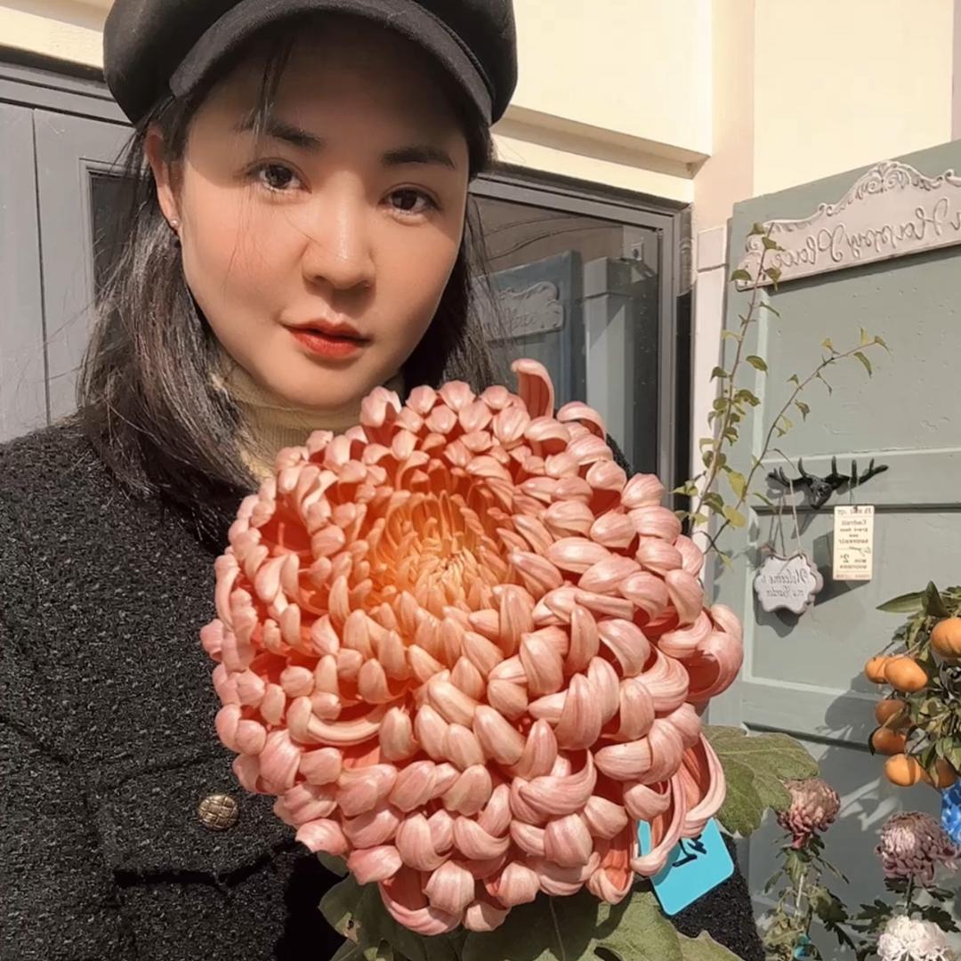 一植寻花