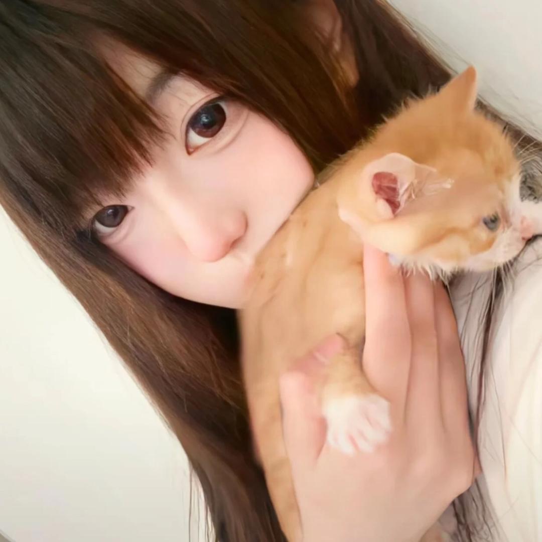 懒懒鱼