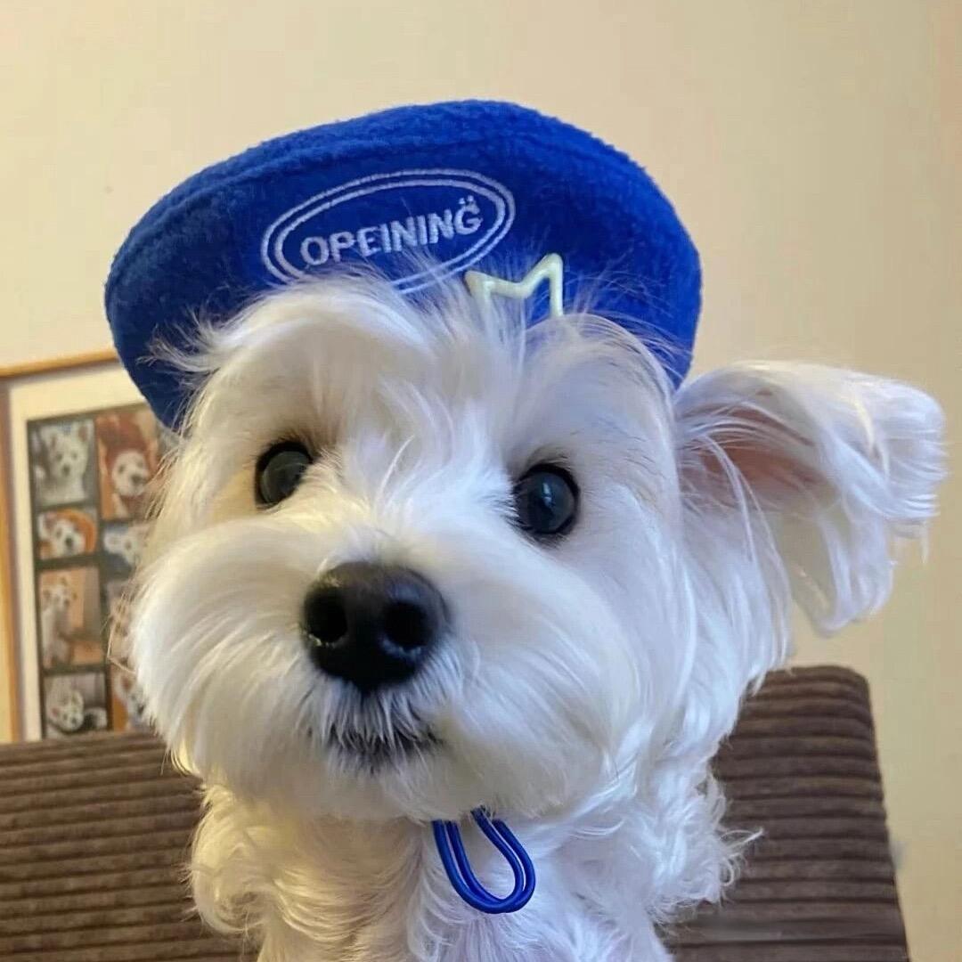 刘子健🐾