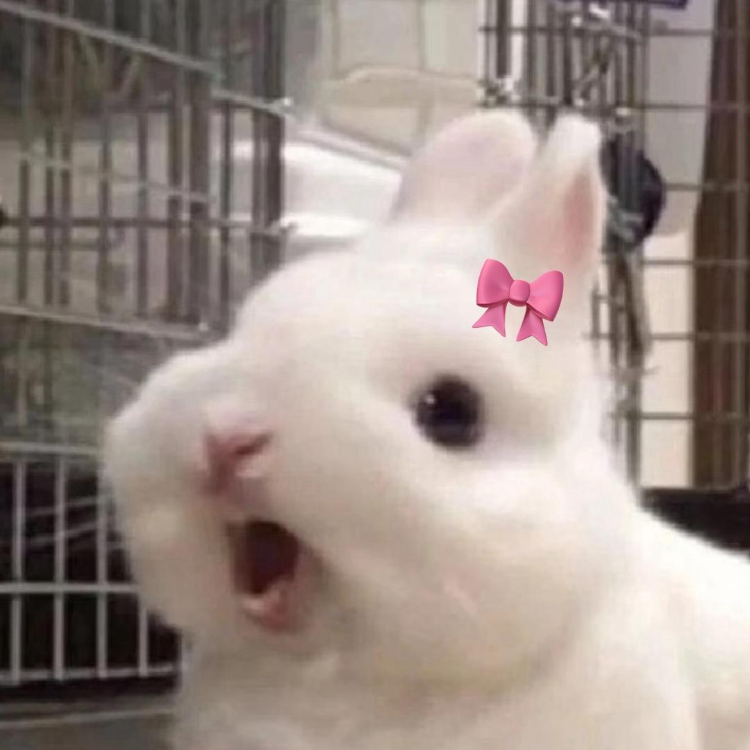 Xxi_