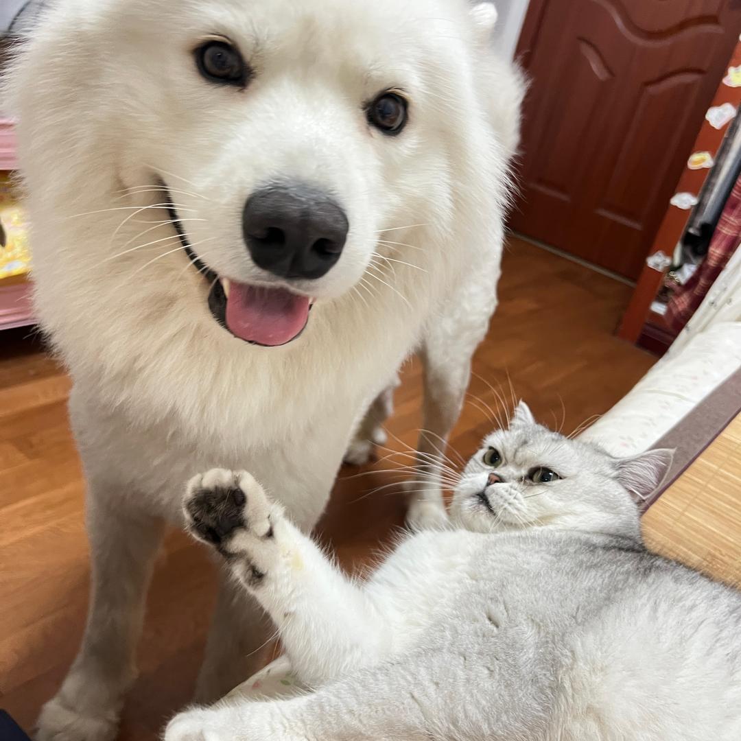 打不赢吐口水