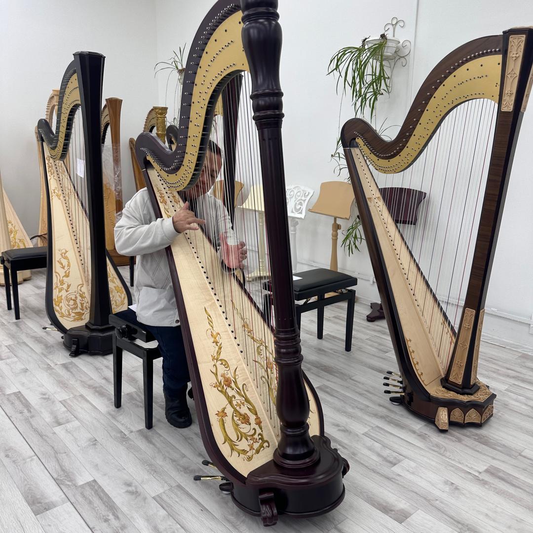 国音·竖琴.箜篌