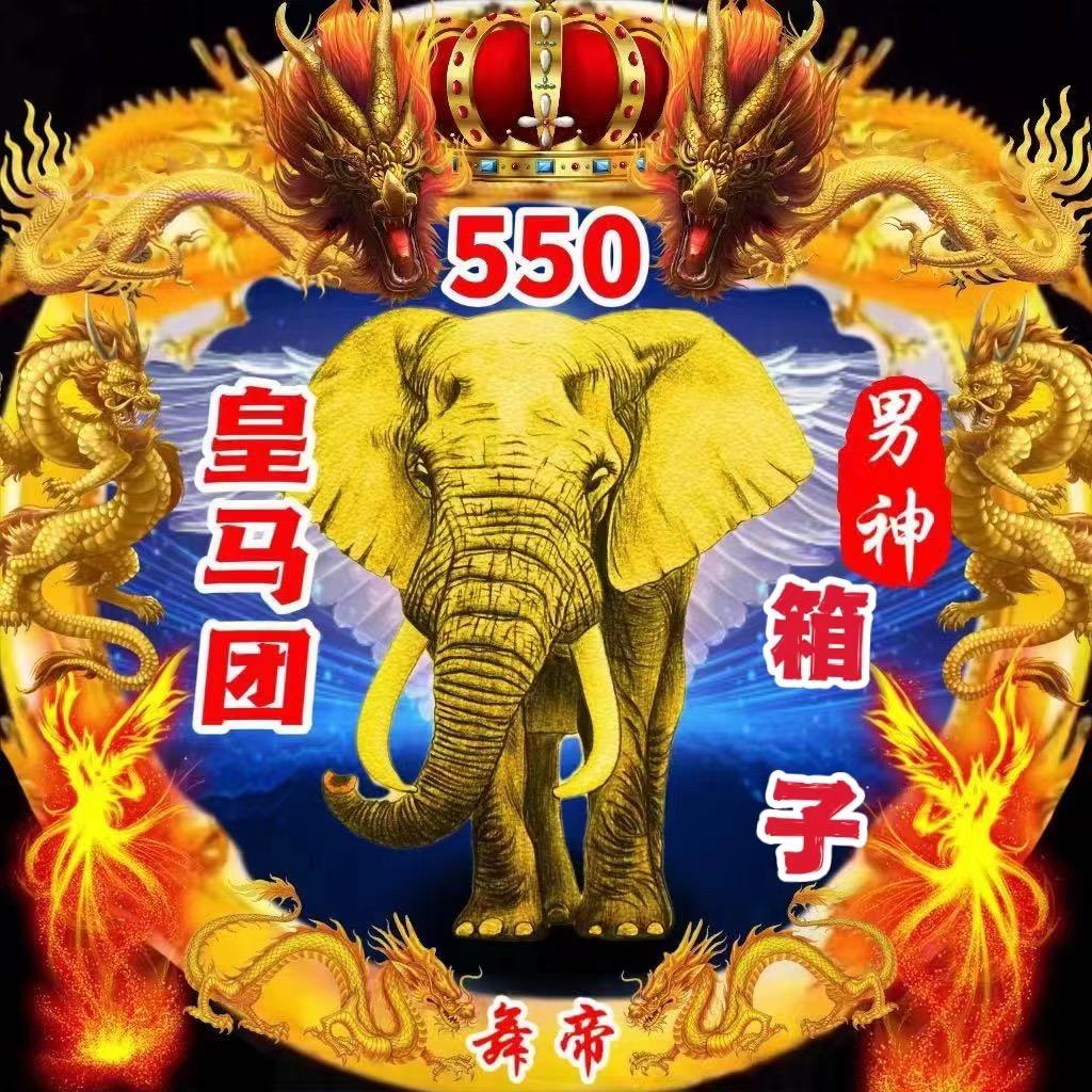 6875小虎