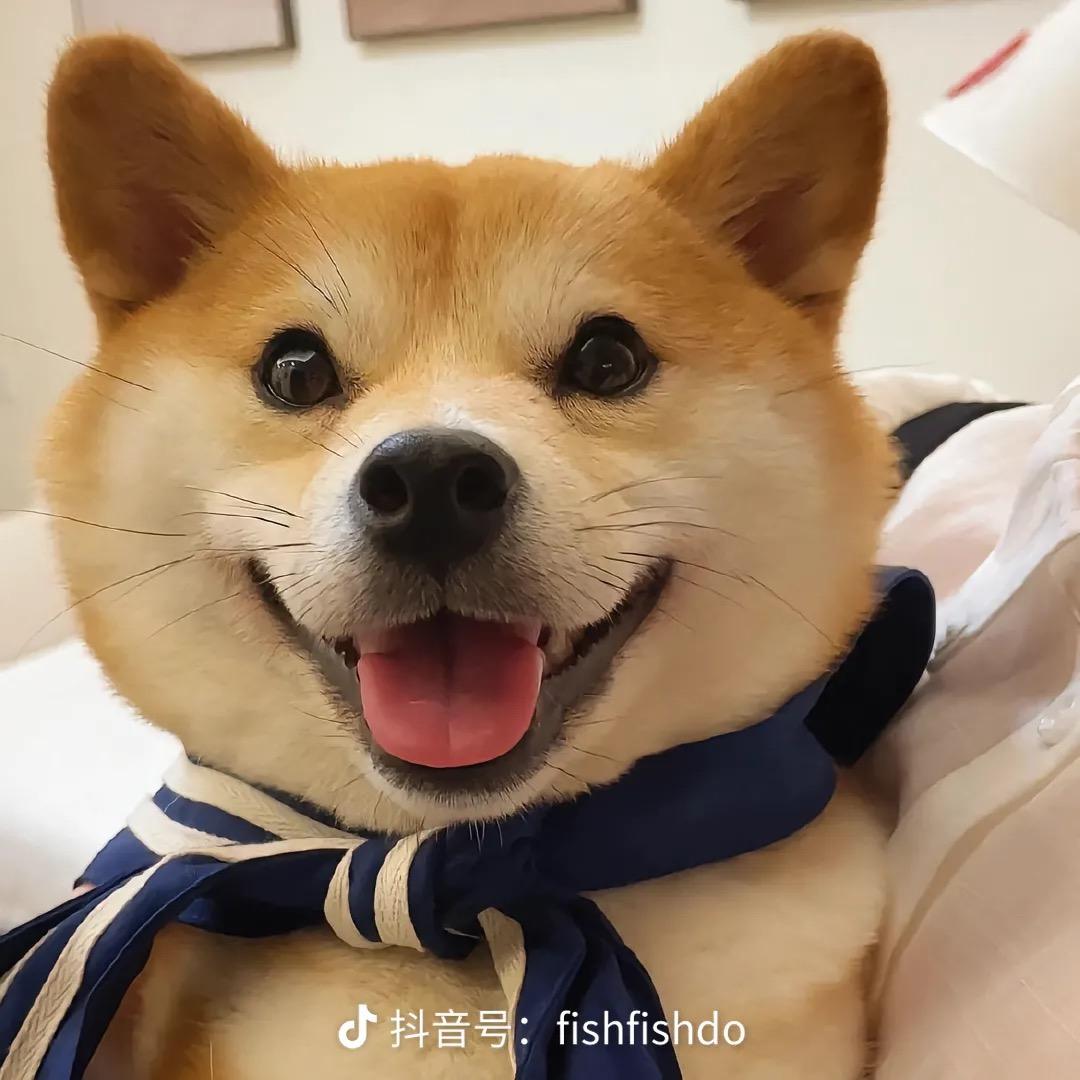 岑