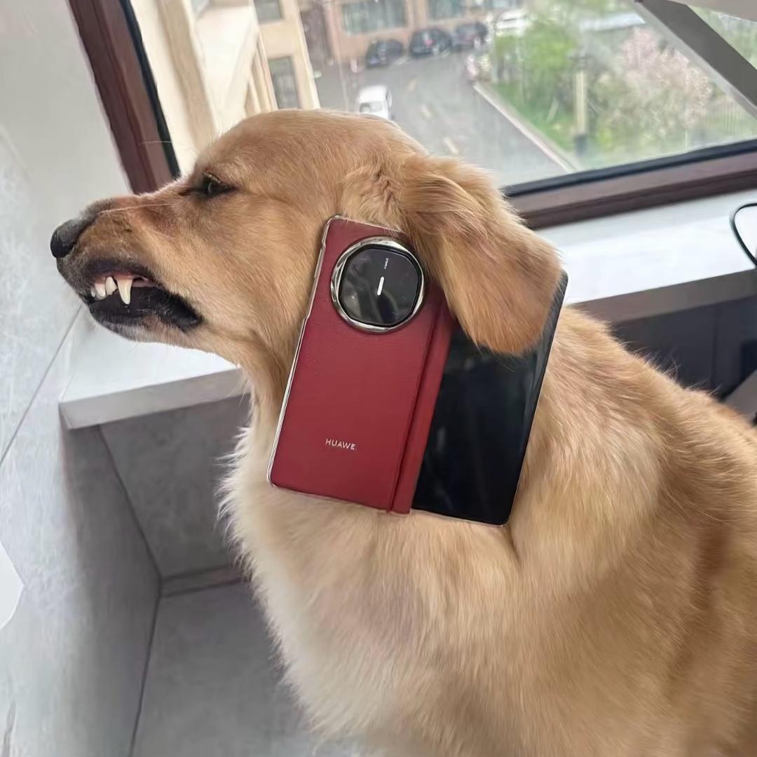 北辰