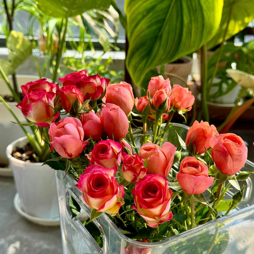 屁大点事分享家