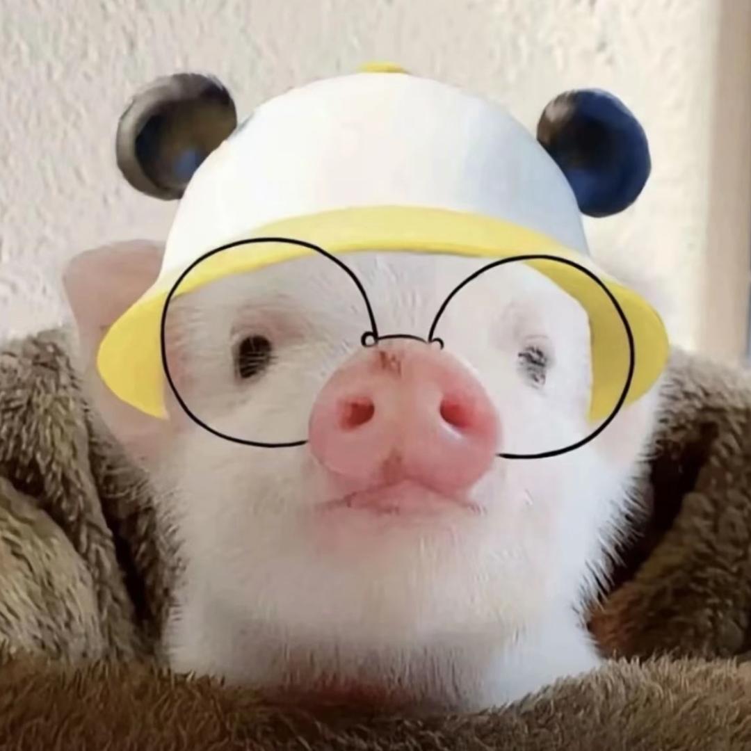 棉宇