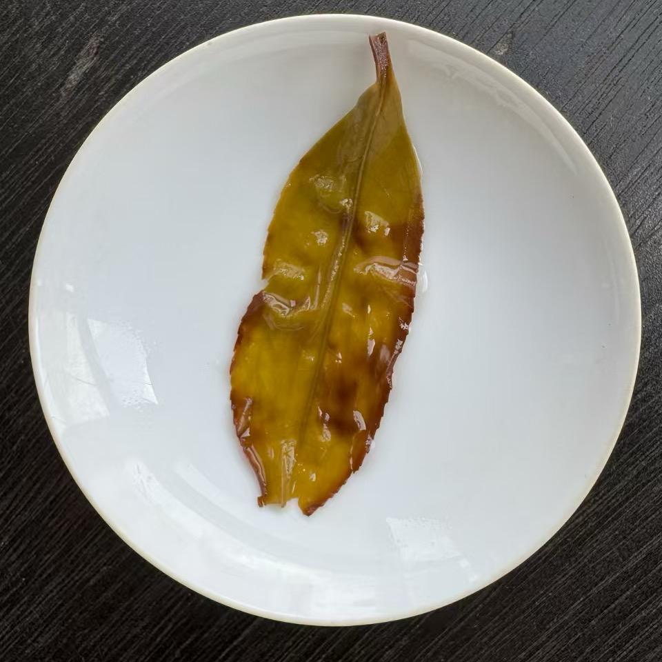 潮州茗腻子茶叶