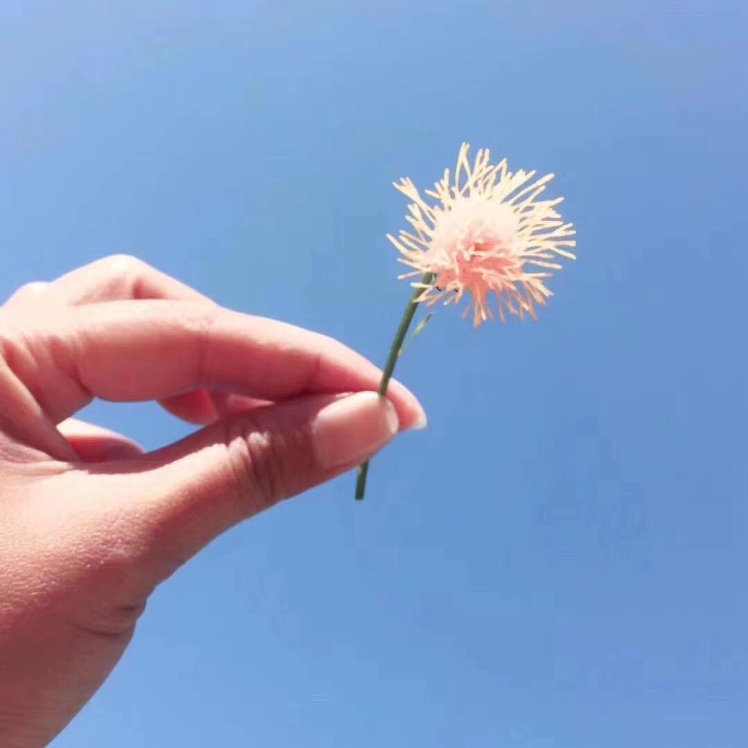 L~(*・_・)⌒*李Lෆiiೄ೨ 子