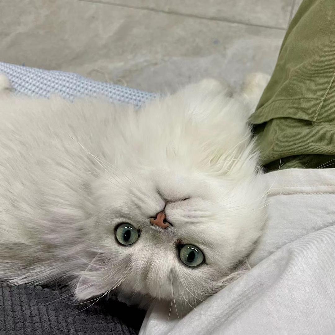 慢慢即漫漫