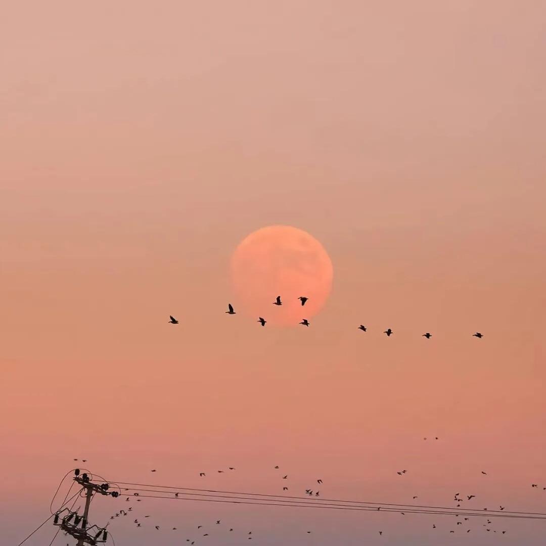 嘟嘟小脸
