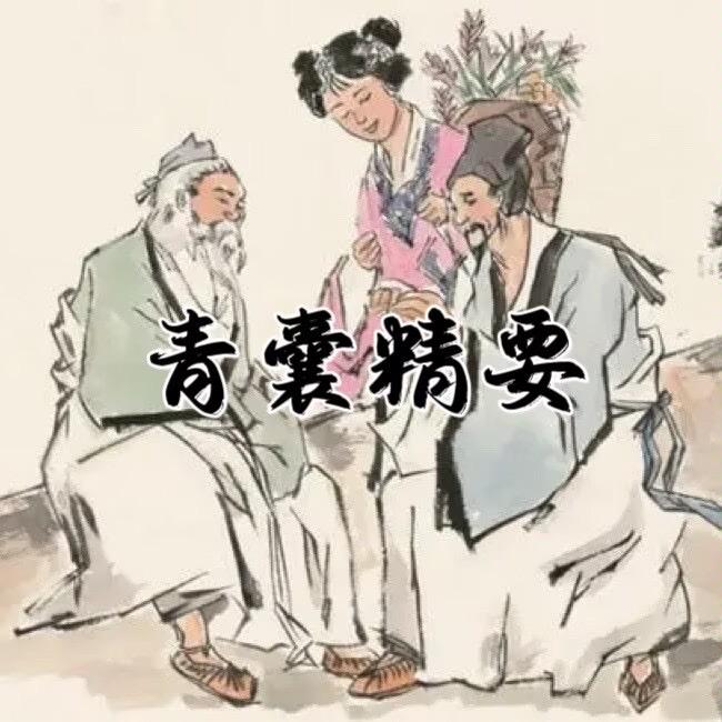 青囊精要