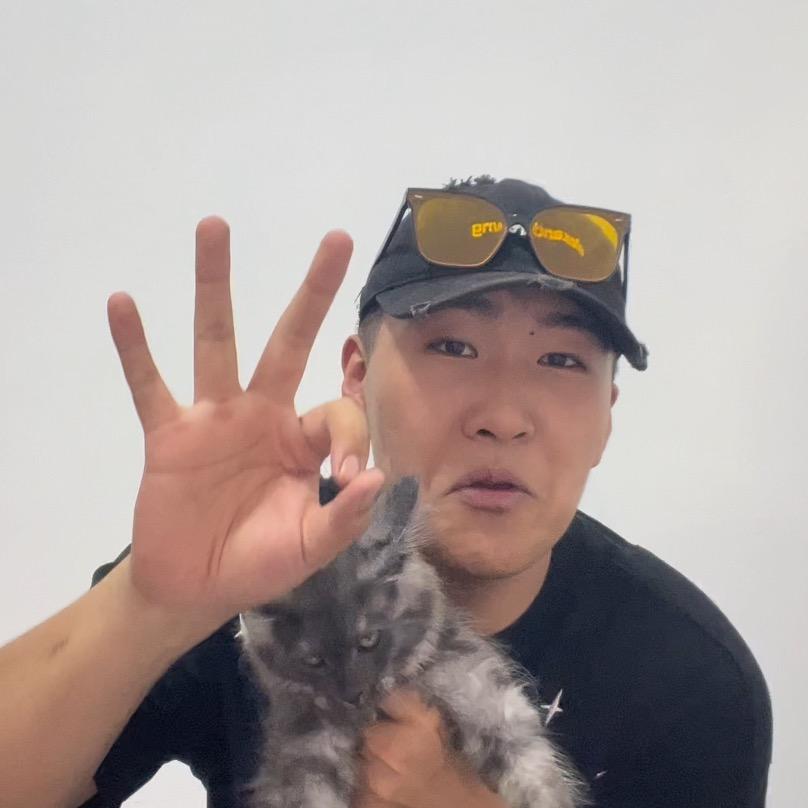 航子的猫