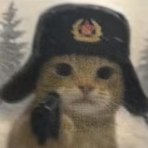 🌸邢什么什么来着