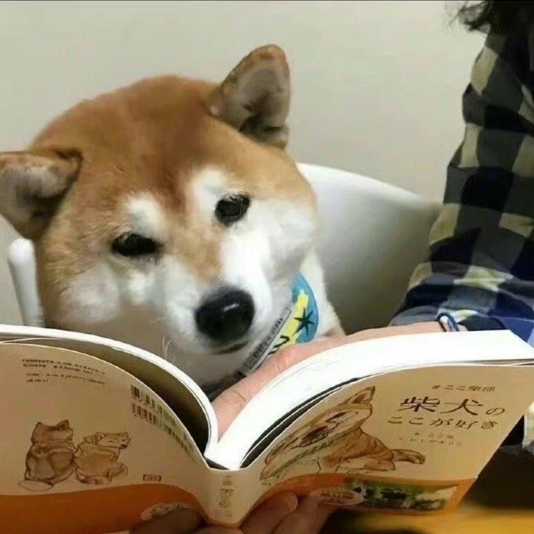 百元大钞