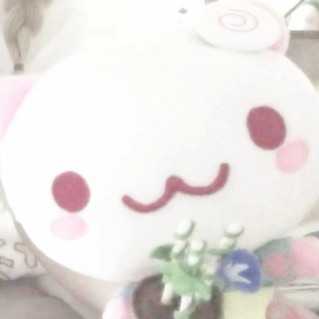 小猫大王