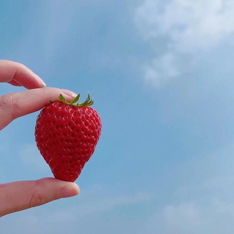 刘温暖🌈🌈🌈