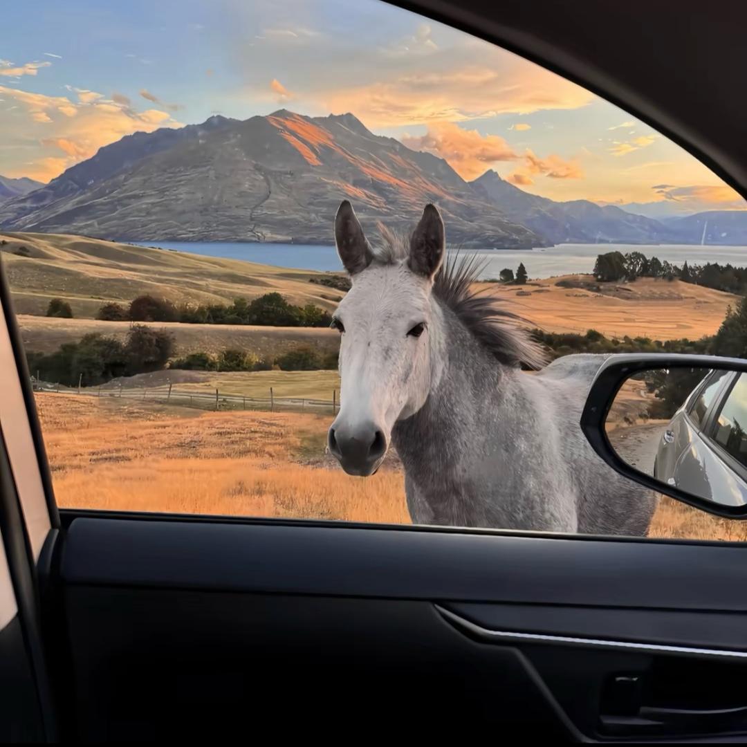 刘主任聊升学（无锡公本）