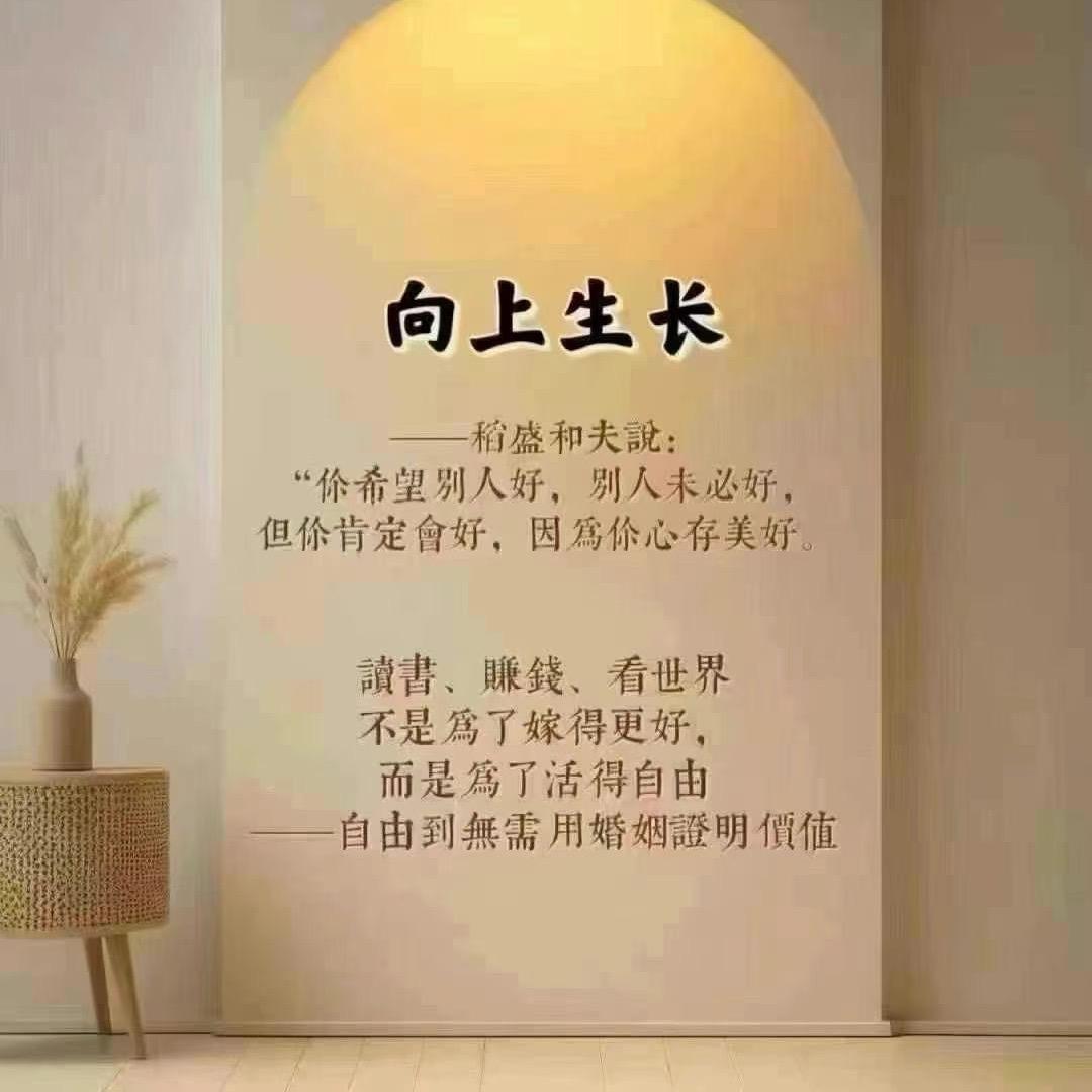 毛毛