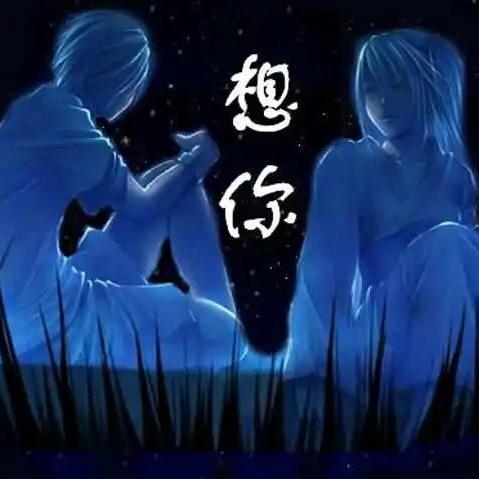 杨善善